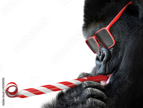 Funny gorilla with red sunglasses celebrating a party by blowing a striped horn