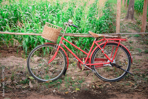 red vintage bicycle with cornfield