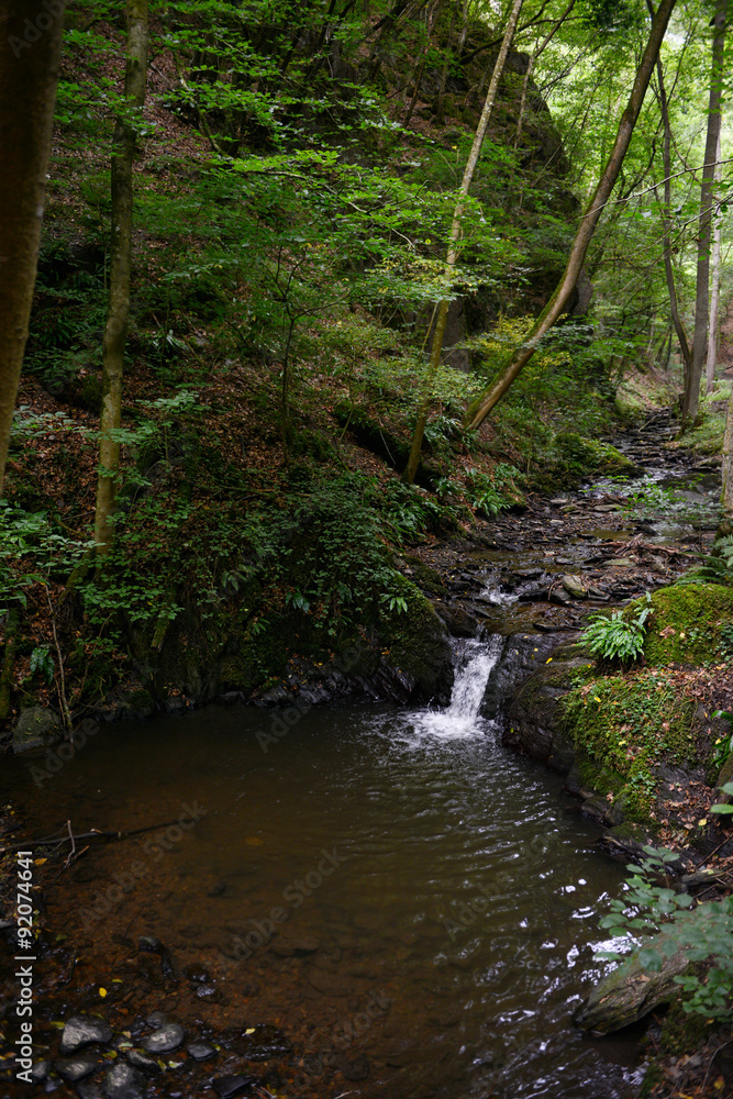 Obraz premium wild stream Brodenbach next to Mosel River