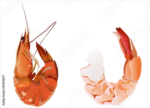 shrimps