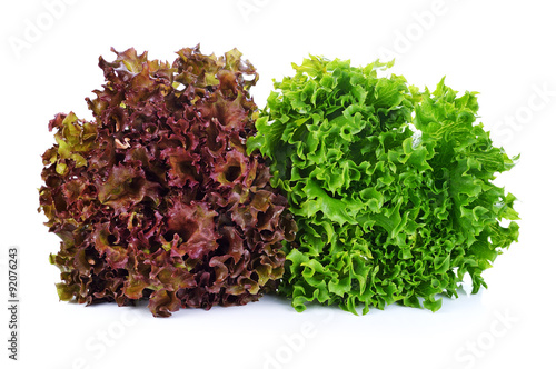 green and red lettuce isolated on white background