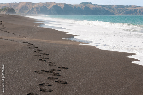 Pacific Ocean in Whirinaki beach reserve Hawkes Bay North Island  New Zealand