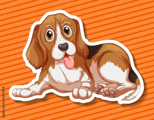 Little puppy sitting on orange background