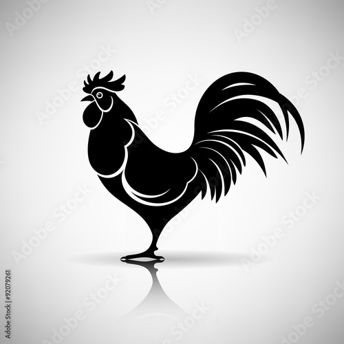 Photo Stylized Rooster