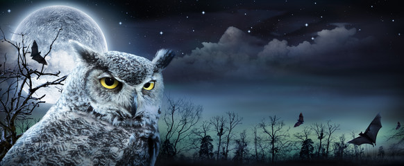 Halloween Scene With Owl And Full Moon
