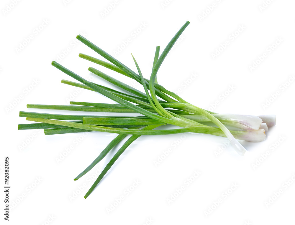 Green onion isolated on the white background Green onion isolated on the white background