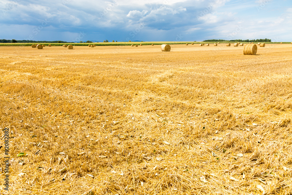 Fototapeta premium Hay bales
