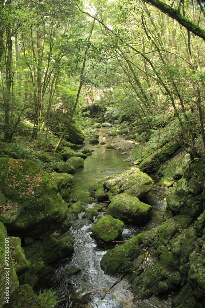 桂川渓谷 桂川渓谷