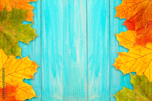 Autumn frame on a blue board