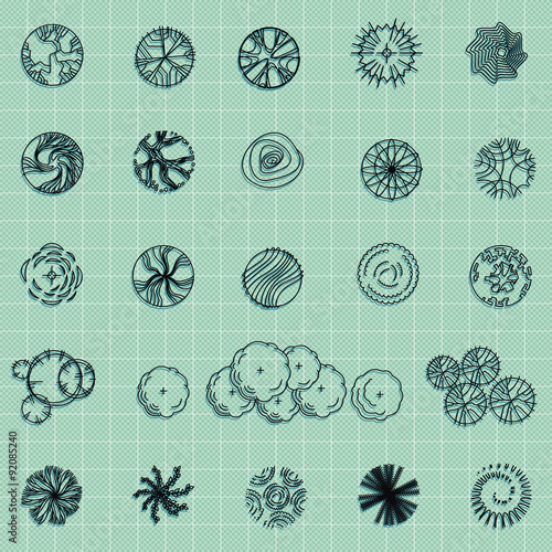 Trees and bush item top view for landscape design, vector icon.