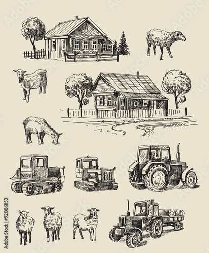 farm and animals hand drawn