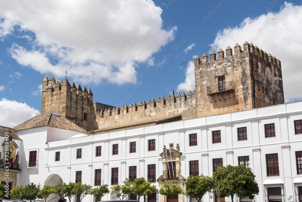Castle View of Arcos de la Frontera, Spain
