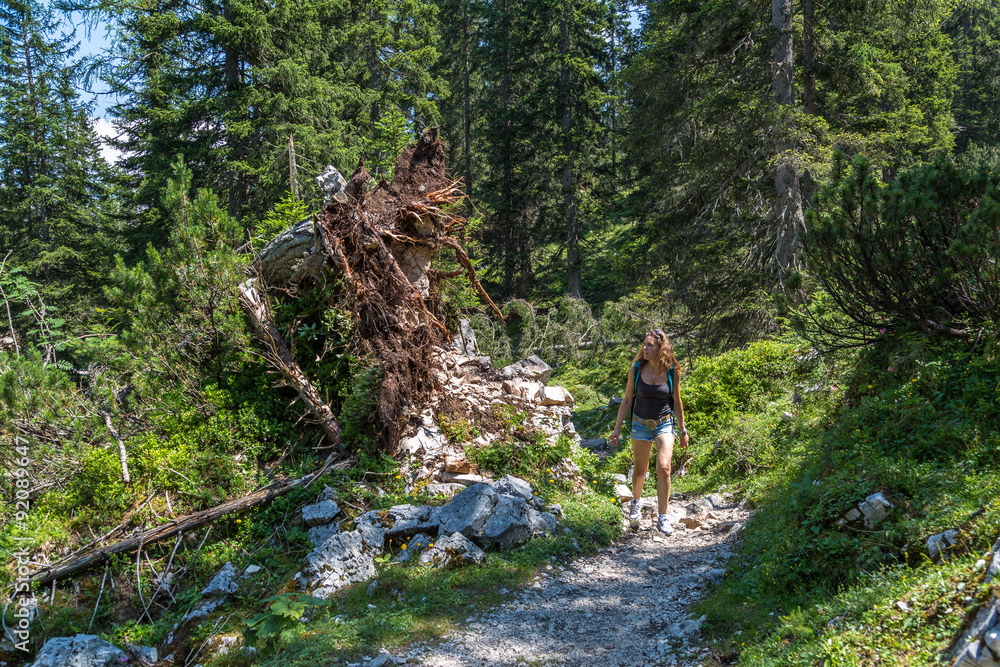 Hiking in the Alps Woman is hiking a trail through teh Alp mountains ...