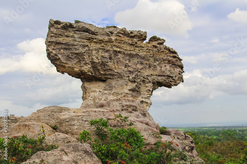 Rocks at Pa Hin Ngam National Park,Thailand.