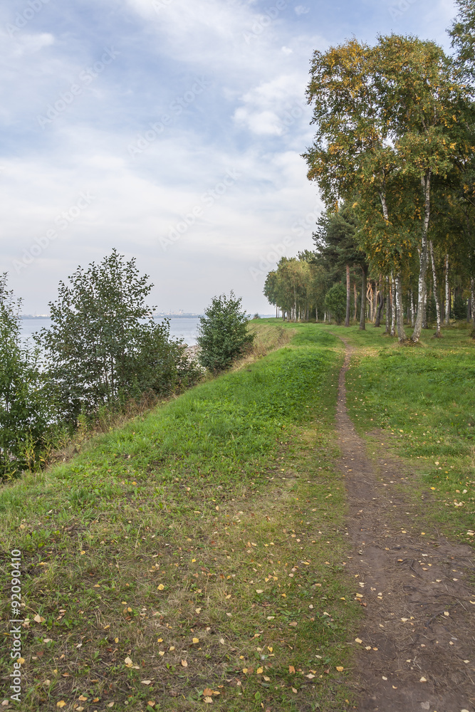 Small Road Into The Woods Small Road Into The Woods