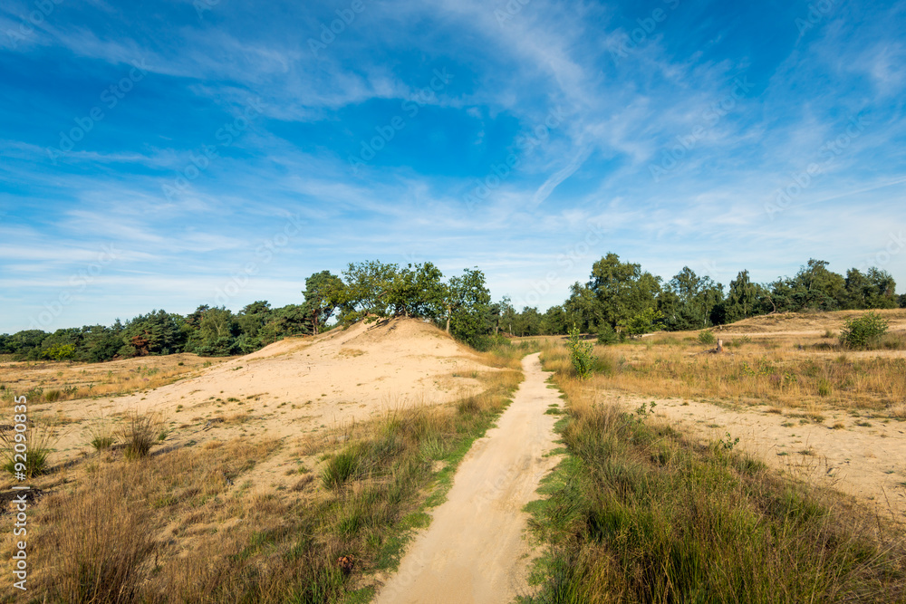 Narrow sandy path in a large nature reserve