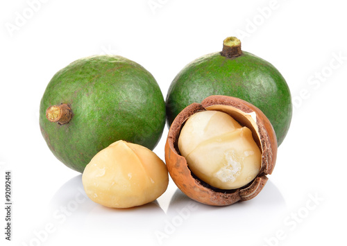 fresh macadamia nut on a white background