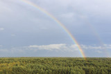 Rainbow at sunset over the forest in the natural park called Lommeles Sahara in Belgium