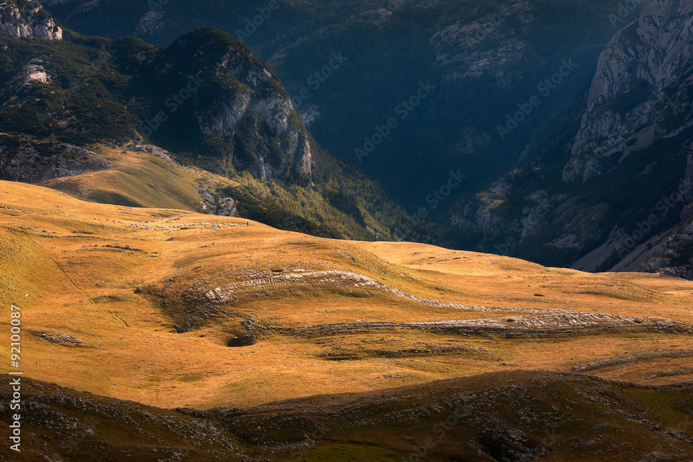 Mountain landscape with sheeps near the deep canyon