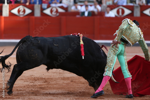 Toro y torero