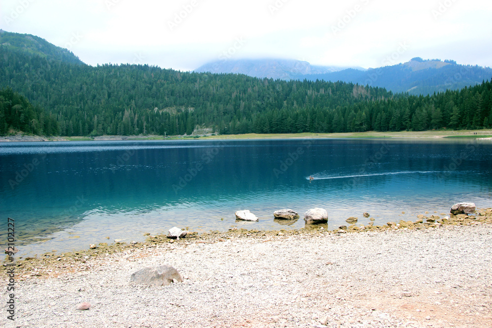 Black Lake, Durmitor National Park. Montenegro. Beautiful dark blue lake. Duck on the blake lake