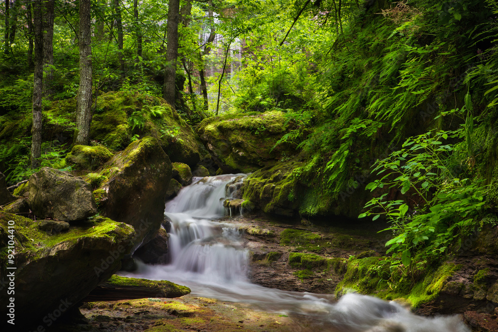 waterfall. Mountain waterfall in the forest with ferns.