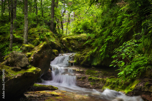 waterfall. Mountain waterfall in the forest with ferns.