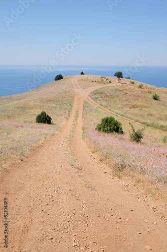 Landscape with the image of Crimean Mountains and Black Sea