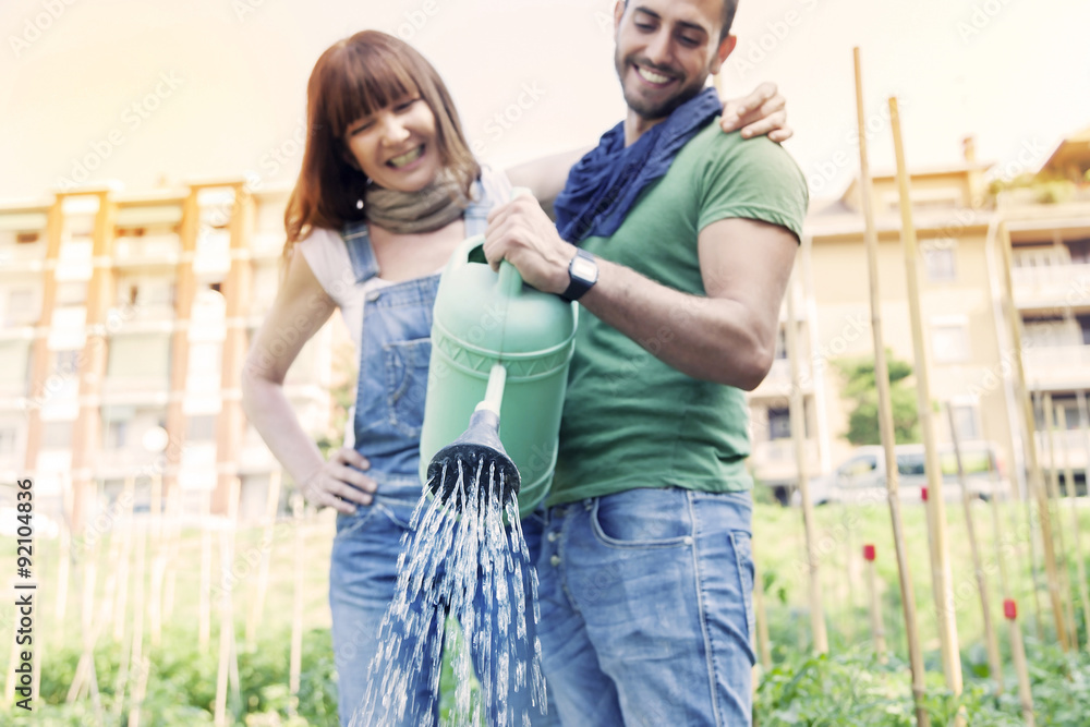 Naklejka premium beautiful engaged couple watering plants in the garden