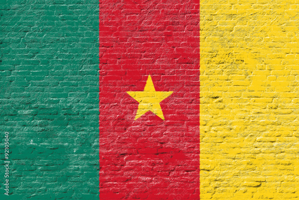Cameroon - National flag on Brick wall