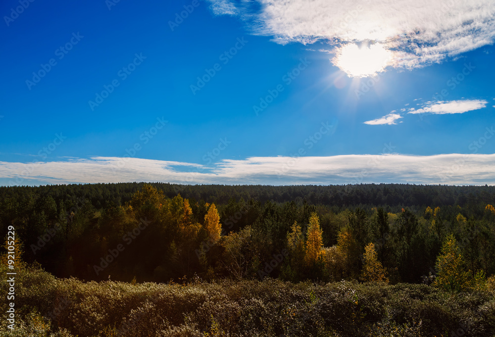 treetops autumn sun in clouds