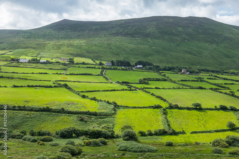 アイルランドの典型的な風景 Scene Ring of Kelly in Ireland