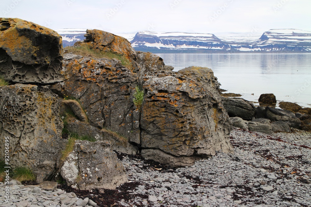 Island, Isafjördur, Vogelinsel Vigur, Norden