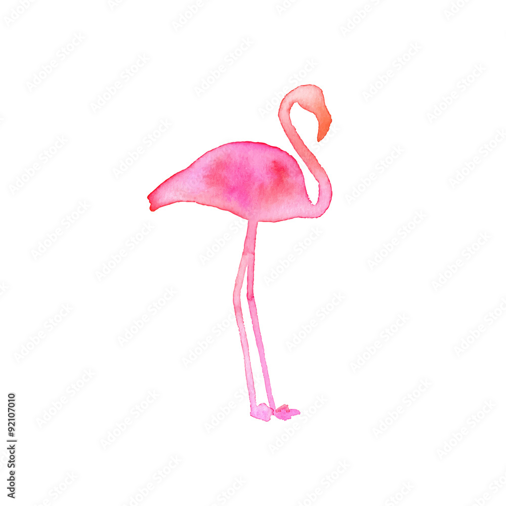 Flamingo. Hand-drawn silhouette of bird. Real watercolor drawing