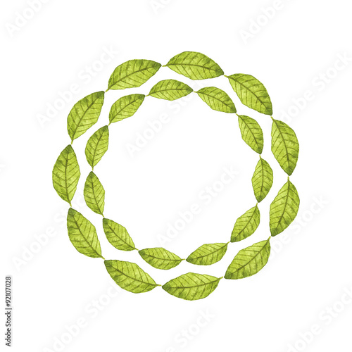 Bayleaf. Wreath with leaves. Real watercolor drawing. Vector
