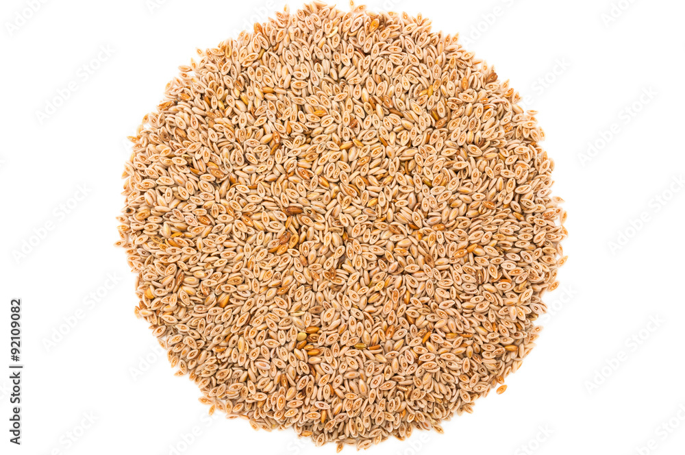 Flohsamen Flohsamen