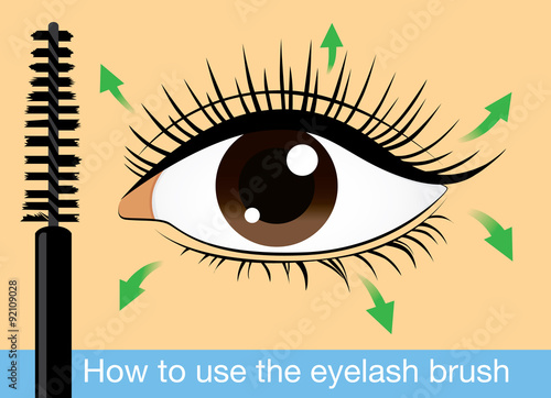 Direction of brushing eyelash to long and beauty with mascara brush