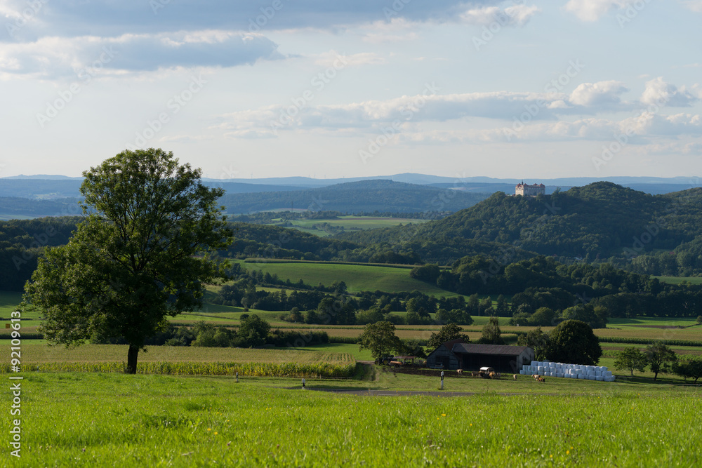 Baum an Straße in der Hochrhön Baum an Straße in der Hochrhön