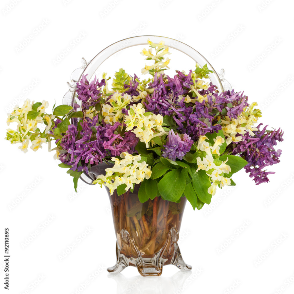 First forest springs flowers in vase, isolated on white First forest springs flowers in vase, isolated on white