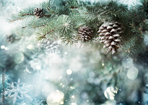 Fir Branch With Pine Cone And Snow Flakes
