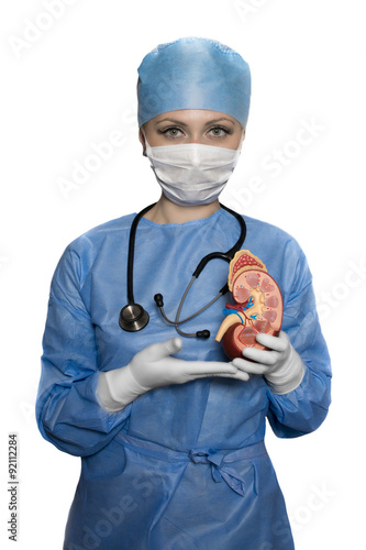 Kidney model held by the surgeon