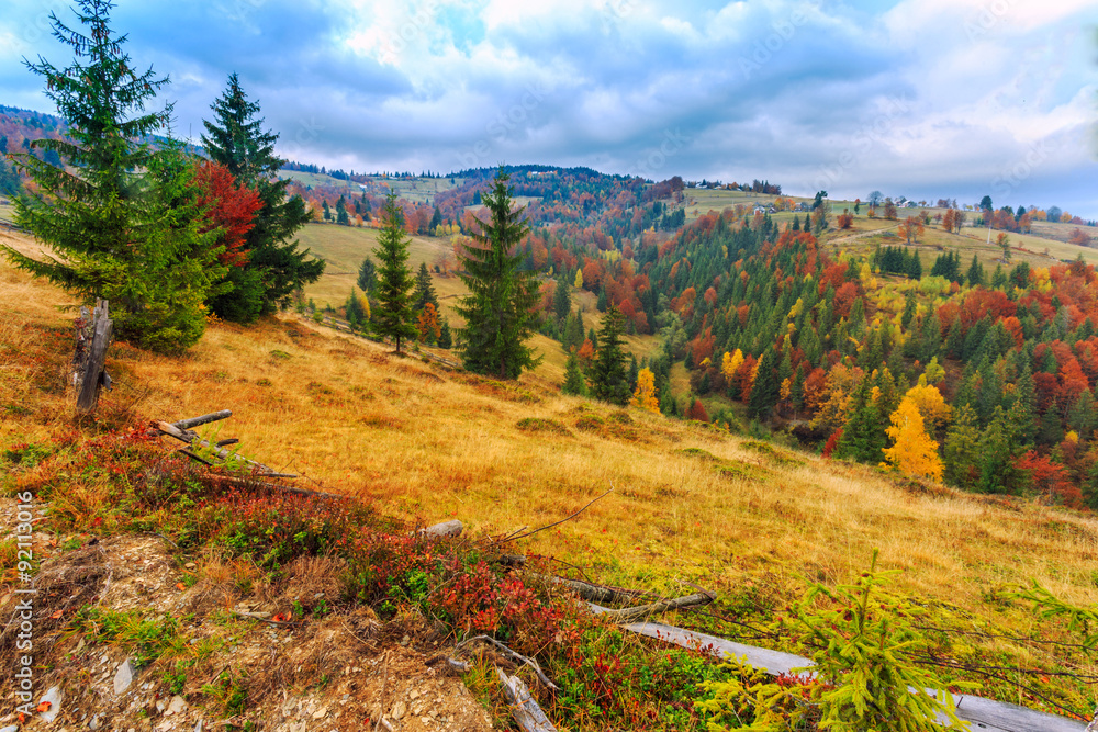 Colorful autumn landscape in the Carpathian mountains