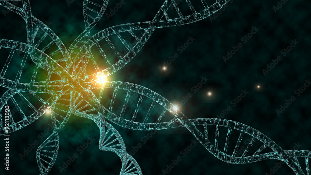 DNA Strands DNA Strands