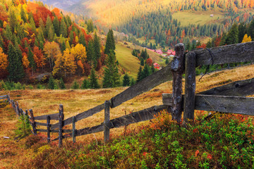 Wandcirkels Herfst Kleurrijk herfstlandschap in Transsylvanië  © Kavita