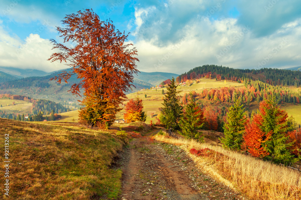 Morning in Carpathians mountain Transylvania Morning in Carpathians mountain Transylvania