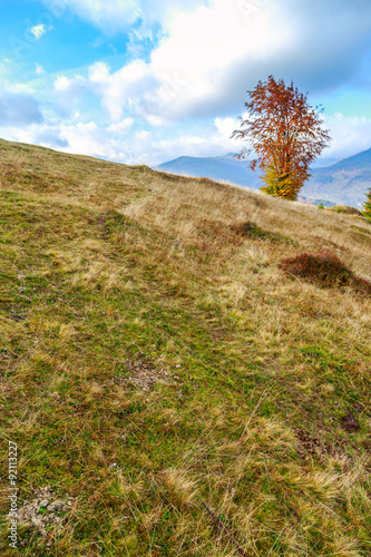 Morning in colorful autumn landscape in Romania