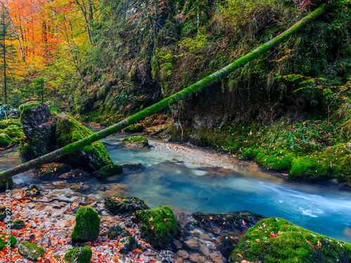 River cascade in a forest in Transylvania mountains