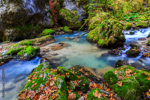 River cascade in a forest in Transylvania mountains