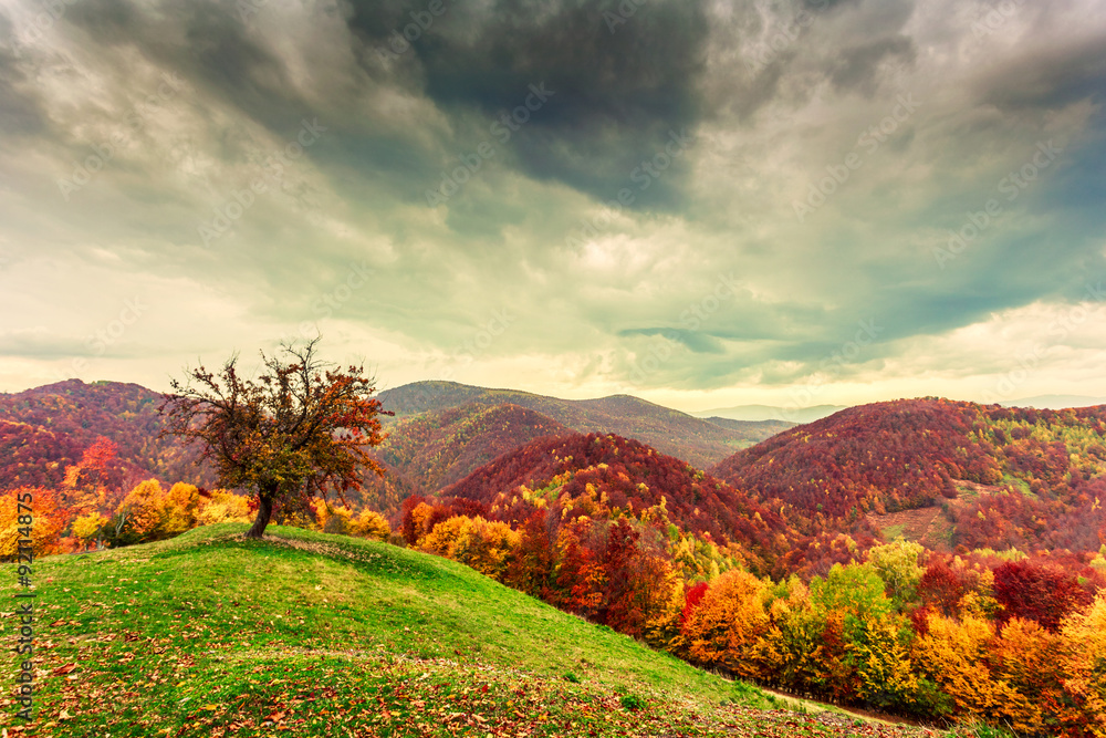 Colorful autumn landscape in the Carpathian mountains Colorful autumn landscape in the Carpathian mountains