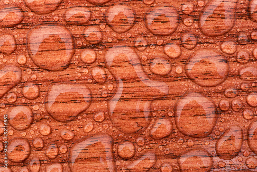 Water Droplets Water Droplets